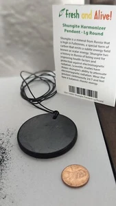 Shungite Pendant BIG Authentic, EMF protection - Picture 1 of 4