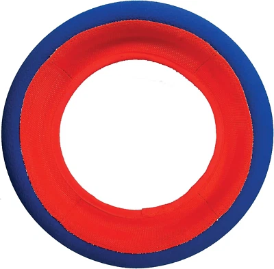 Chuckit! Rueda de búsqueda juguete exterior para perros, grande, para razas grandes Foto 1 de 4