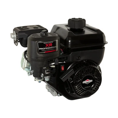 Motor de eje horizontal Briggs & Stratton XR 5 HP 163cc | 106232-0079-F1 Foto 1 de 4