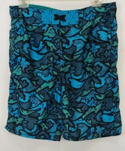 Pantalones Cortos de Natación Cherokee Azul Niño Talla Grande Diseño Azul Forrados - Imagen 1 de 8