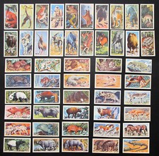 BROOKE BOND FULL SET 50 VINTAGE 1962 ASIAN WILD LIFE  IDEAL FRAMING & CARDMAKING