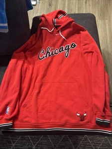 Vintage Y2K Nike Team Chicago Bulls Center Swoosh NBA Hoodie Sweatshirt Gr. XXL - Bild 1 von 8