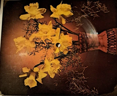 Flexi The Carpenters - Please Mr Postman (1978)  - Bild 1 von 2