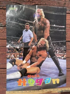 Hollywood Hulk Hogan Stone Cold Steve Austin Double Sided Poster WWE WCW WWF - Picture 1 of 2