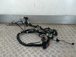 KYMCO PEOPLE GT300i Wiring Loom - Picture 1 of 10