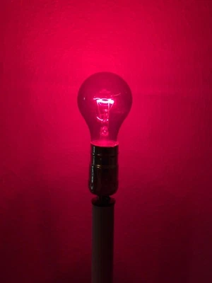 RED BULBS Translucent 2pak 25W A19 Holiday PARTY  1000hrs Medium Base #5800 - Image 1 of 4