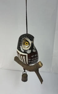 Saw-whet Owl - Picture 1 of 12