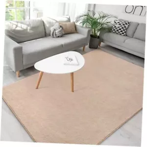 Washable Rugs for Living Room Minimalist Area Rugs Soft Throw Rugs 4x6 Beige - Picture 1 of 8