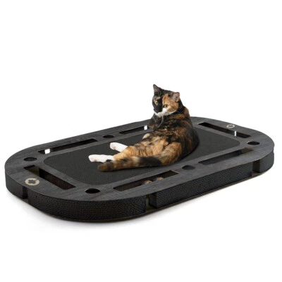 CANADIANCAT COMPANY Katzenspielzeug Kratzbrett Interaktiv PlayPlate Katzenspielplatz mit Kratzfläche