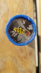 5 Euro Ganze Rolle 25 Stück HAINSCHWEBFLIEGE Prägestandort Stuttgart - Bild 1 von 2