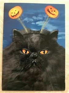 Avanti Halloween Greeting Card "This is my Happy Halloween Face..." NEW (A31) - Picture 1 of 3
