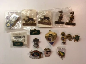 Diecisiete (17) prendedores vintage coleccionables del club de leones - Imagen 1 de 5