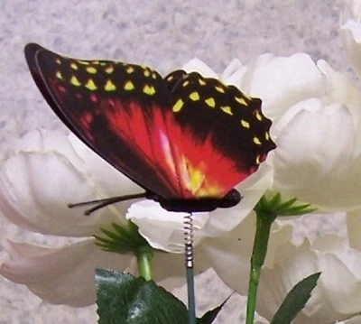 Garden Decor Flower Pot Plant Pick Stake Colorful Butterfly NEW 12“ tall #9 - Image 1 of 4