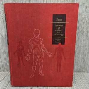Vintage 1971 Textbook of Anatomy and Physiology Anthony Kolthoff Medical Hardcov - Picture 1 of 12