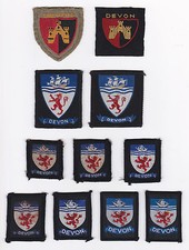 SCOUTS OF BRITISH / UNITED KINGDOM - UK SCOUT DEVON COUNTY BADGE (11 VAR)