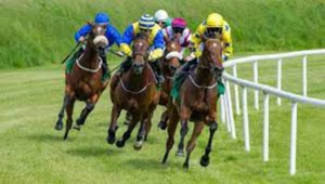 Red Alert Horse Racing System - Picture 1 of 1