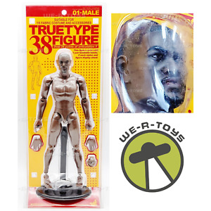 TrueType 38 Figure 01-Male African American Poseable Figure Hot Toys 2006 NEW