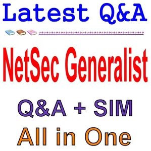 Preguntas y respuestas sobre el examen generalista de seguridad de red NetSec-Generalist Palo Alto Networks - Imagen 1 de 1