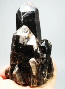 1,54 libras natural raro hermoso racimo de cristal de cuarzo negro espécimen mineral - Imagen 1 de 11
