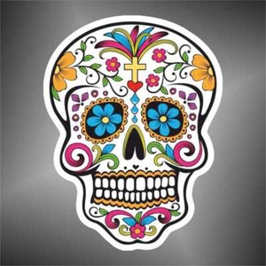 adesivo teschio skull bikers heavy metal punk moto car sticker decal calaveras - Imagen 1 de 1