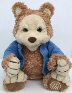 Oso de peluche Playskool TJ Bearytales Talking Animatronic solo sin probar - Imagen 1 de 12