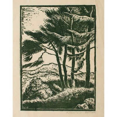 Helene Haasbauer Wallrath Farbholzschnitt Japan um 1910 signiert selten rar HWH - Bild 1 von 4