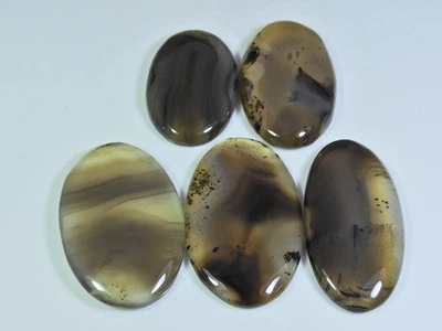 219Cts. Natural Botswana Agate Oval Cabochon Loose Gemstone 5 Pcs Lot T989 - Image 1 of 4