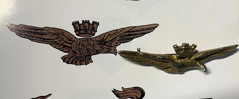 Brevetto da pilota Modello Ufficiale Con Corona Rialzata Modello Anni 50 - Immagine 1 di 4