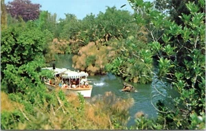 Postcard CA Disneyland - Jungle Cruise - Picture 1 of 2
