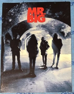 KIT DE PRENSA MR. BIG 1993 “BUMP FORWARD” + FOTO ¡RARO! - Imagen 1 de 4