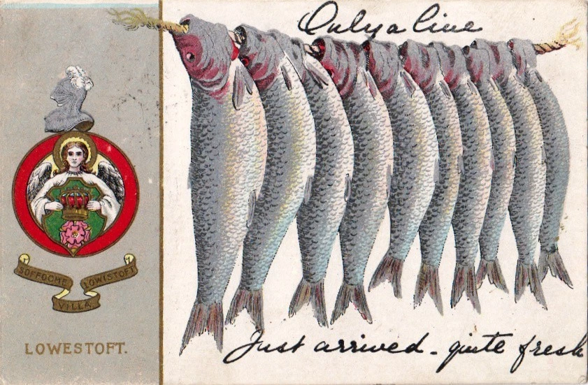 printed novelty  lowestoft postcard, string of herring  posted 1909 - Image 1 of 1
