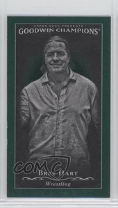 2016 Goodwin Champions Black & White Cloth Minis Lady Luck Back /25 Bret Hart - Picture 1 of 3