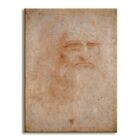  toile tableaux croquis Leonard de Vinci  50x70 cm