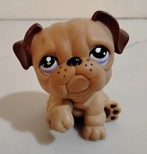 Authentische Littlest Pet Shop LPS BULLDOGGE #1342 hellbraun/, erhabene Pfote mit blauen Augen - Bild 1 von 4