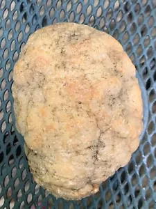 Beauty! Orangy Break Your Own Geode - ungeöffnet - SouthernIndianaCalcite Crystals - Bild 1 von 6