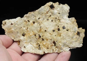 GOETHITE pseudo. dopo PIRITE - POLONIA Bassa Slesia /aw534 - Foto 1 di 1