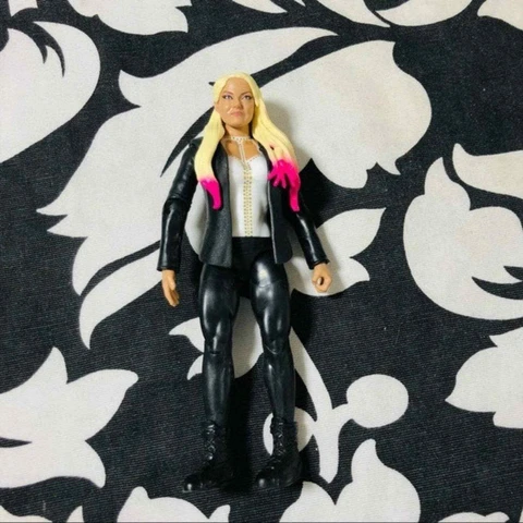 5 for $25| WWE Alexa Bliss Figure Wrestling Diva loose Cover