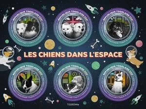 Perros en el espacio Vuelo Espacial Soviético Astronautas Caninos MNH 6v-Hoja de Sello 2020 Togo - Imagen 1 de 1