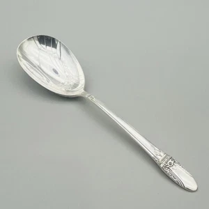1847 Rogers Bro Silverplate FIRST LOVE Serving Spoon w/ Rare Floral Etched Bowl - Picture 1 of 13