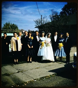 Wedding group photo - 1954 Stereo Realist slide #1907 - Picture 1 of 3