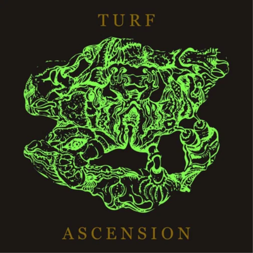Bubblemath Turf Ascension (CD) Album - Bild 1 von 1