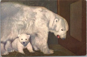 Vintage POLAR BEAR Postcard Mama & Cub in Zoo Cage / Switzerland No. 49 / Unused - Picture 1 of 2