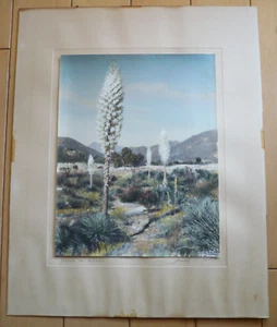 FREDERICK W. MARTIN, PASADENA CALIFORNIA RARE HAND COLORED PHOTO CA DESERT Yucca - Picture 1 of 12