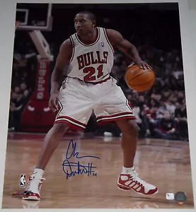 Grande foto 16x20 firmata CHRIS DUHON Chicago Bulls con Rookie Auto GAI - Foto 1 di 3