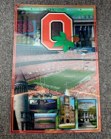 Ohio State Buckeyes 3D Poster Pd912 campus football 16X24 Cover