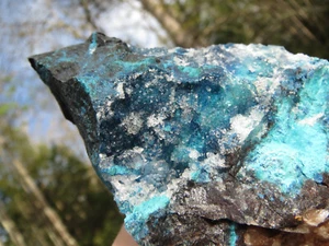 ROYAL COBALT SHATTUCKITE GEM SILICA DRUZY CHRYSOCOLLA CUPRITE QUARTZ MILPILLAS  - Picture 1 of 12
