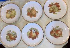 6er SET BAREUTHER WALDSASSEN 8" PORZELLAN OBSTSALAT/DESSERTTELLER ~ GERMANY - Bild 1 von 11