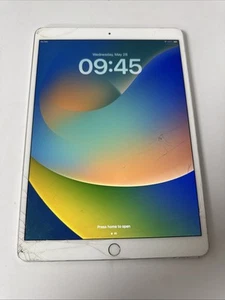 Apple iPad Pro 1ª Generación (10,5 pulgadas) 256 GB Wi-Fi A1709 PARA REPUESTOS o REPARACIÓN - Imagen 1 de 11