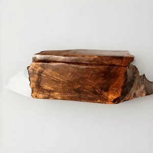 Burl Wood Treasure Trinket Box Hand Carved Raw Unique Organic Natural Shape - Picture 1 of 8