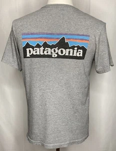 Patagonia Shirt Mens Small Gray Responsibili Tee T Shirt Mountain Logo Trail USA - Picture 1 of 8